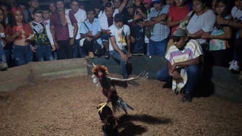 Palenque de Gallos México.