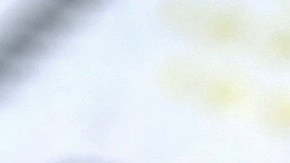 pension-seguro-social