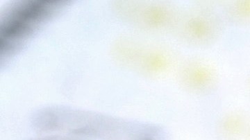 pension-seguro-social