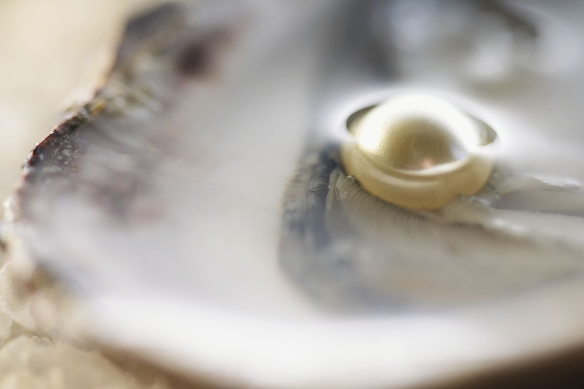 El cliente del restaurante dijo que se topó con la perla de 8.8 milímetros de ancho mientras abría una docena de almejas crudas.