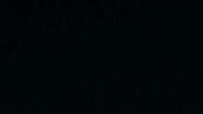 El turista murió luego de ser mordido en un muslo.