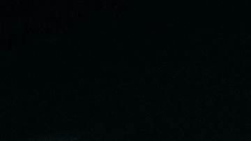 El turista murió luego de ser mordido en un muslo.