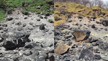 FOTOS: Famosa piedra “maldita” que encerraba el espíritu de un demonio en Japón, se partió en dos