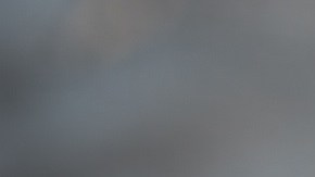 Semillas de fenogreco