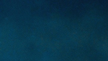 Los científicos descubrieron que los tiburones no duermen de la misma manera que los mamíferos.