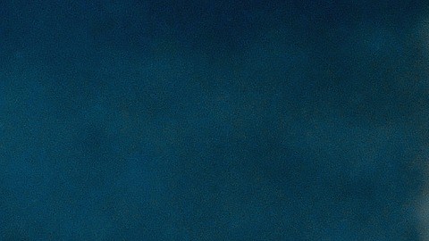 Los científicos descubrieron que los tiburones no duermen de la misma manera que los mamíferos.