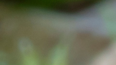 Con el cordyceps se ha visto una respuesta de mejora de la sintomatología en los pacientes post Covid, con disminución de la fatiga y el cansancio crónico.