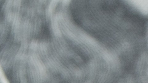 El video viral en TikTok que muestra qué está más sucio, un billete o una moneda