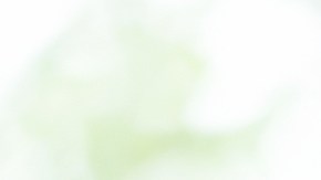 Renuncia a su trabajo