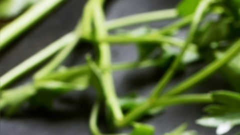 Zanahorias