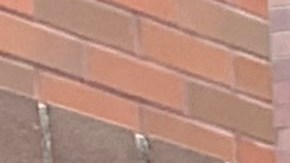 $60 millones incluyó el presupuesto del Concejo para mejorar salarios de trabajadores de servicios humanos contratados