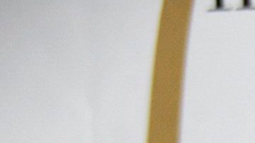 Carlos Ponce y Karina Banda se casaron en 2020