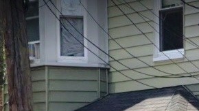 "Newark Veterinary Hospital", 98 Wilson Av, NJ.