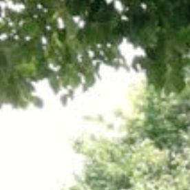 Parque infantil, Brooklyn, NYC.