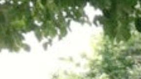 Parque infantil, Brooklyn, NYC.