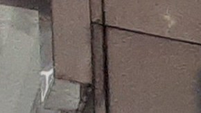 La obra "Plaza Suite" se suspendió por COVID de los protagonistas.