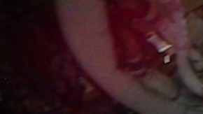 El doctor Schmidt llegó a la EEI... como un holograma.