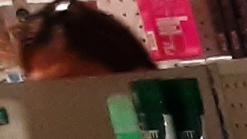 Escasez en farmacia de Nueva York.