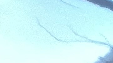 Ana María Archila, candidata a Vicegobernadora de Nueva York podría ser la primera latina en llegar al cargo.