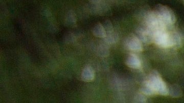 Debanhi manifestacion mexico