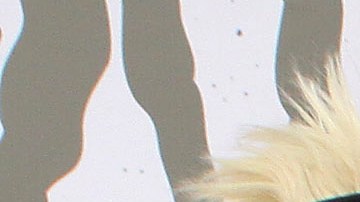 Moderatto sufre robo y secuestro: secuestraron a los choferes y ayudantes del grupo musical