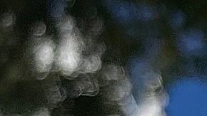 Activistas impulsan que indígenas siembren marihuana en noroeste de México