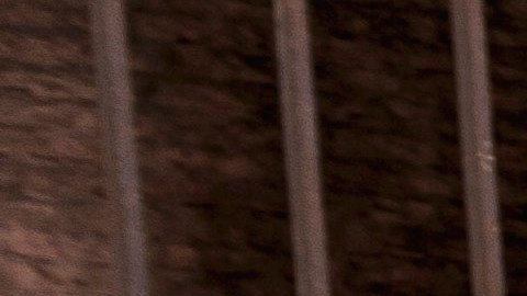 El grupo traerá a Nueva York los ritmos de la isla caribeña./EFE