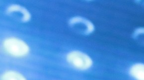 Atrapa Pimpinela nuevas genera_1168780