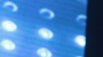 Atrapa Pimpinela nuevas genera_1168780