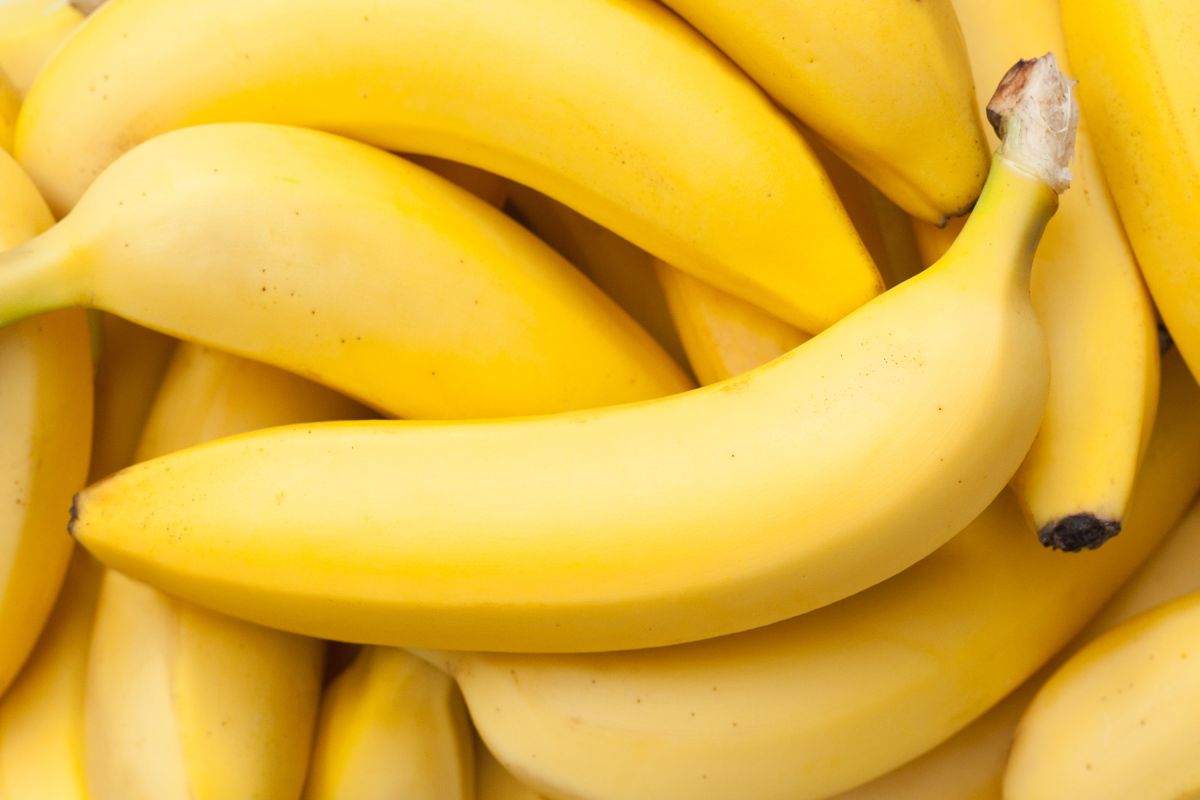 Las bananas son los un fruto versátil, asequible y nutritivo.