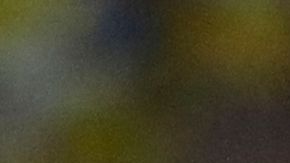 Caso de la nacionalidad de Byron Castillo vuelve a causar polémica entre Ecuador y Colombia