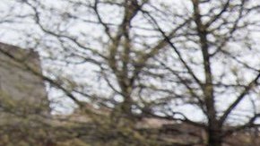 La nueva comisionada del DSNY Jessica Tisch, junto al comisionado del DOT, Ydanis Rodríguez, muestra las nuevas máquinas limpiadoras de carriles de bicicletas.