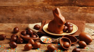 Conejo y huevos de chocolate