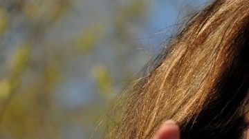Sarah Palin
