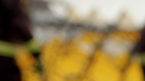 Ciclistas
