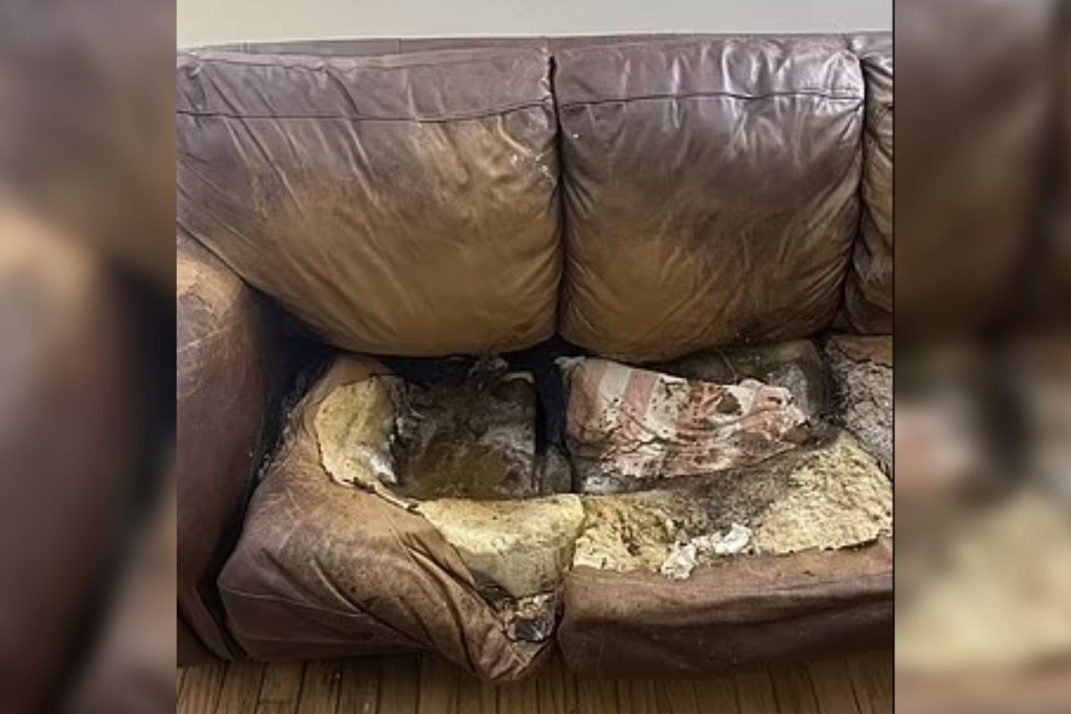 Mujer con raro síndrome fue encontrada muerta y fusionada al sofá de la  sala de la casa de sus padres en Luisiana - El Diario NY