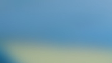 Cuáles fueron los estados donde hubo más despidos en los últimos meses de 2022