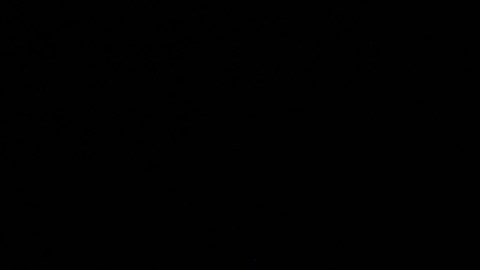 Fortuna de Donald Trump aumentó $600 millones desde que no es presidente, según Forbes