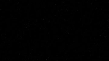 Por qué la llegada de Elon Musk a Twitter pone nerviosos a los empleados