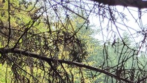 Incendio en Gwinnett