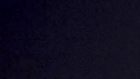 Fernanda Castillo y Rafael Amaya con parte del elenco de 'El señor de los cielos'.