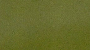 Fernando Tatis Jr. reapareció y sufrió aparatosa caida jugando fútbol