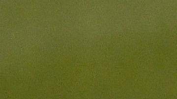 Fernando Tatis Jr. reapareció y sufrió aparatosa caida jugando fútbol