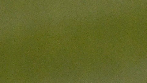 Fernando Tatis Jr. reapareció y sufrió aparatosa caida jugando fútbol