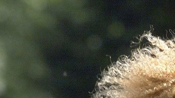 Stars of the Colombian team, Carlos Valderrama (L)