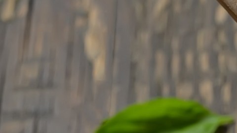 Frijoles cocidos