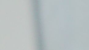 Alfonso 'Poncho' Herrera.