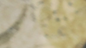 Joseph Gatt fue arrestado por supuesta 'comunicación sexualmente explícita con un menor'.