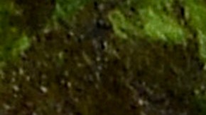 Cardi B y Offset publican las primeras fotos del rostro de su hijo y revelan su nombre.