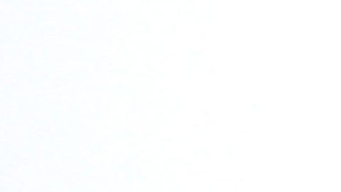 Juan Luis Morera Luna y Llandel Veguilla Malavé, mejor conocidos como 'Wisin y Yandel'.